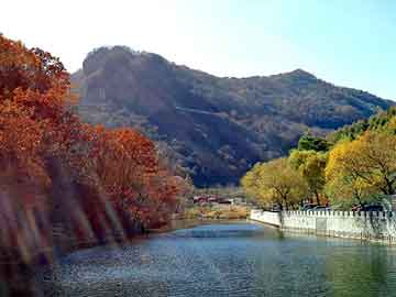 新澳门二四六天天开奖，莱芜禽流感